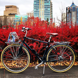 November Fan Photo Winner